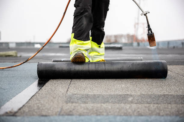 Best Roof Moss and Algae Removal  in Ellsworth, ME